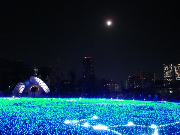 DSC05544.JPG DSC05544.JPG
