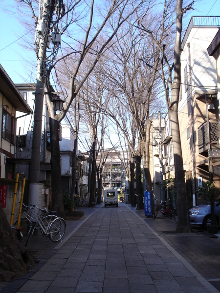 DSC05852.JPG DSC05852.JPG
