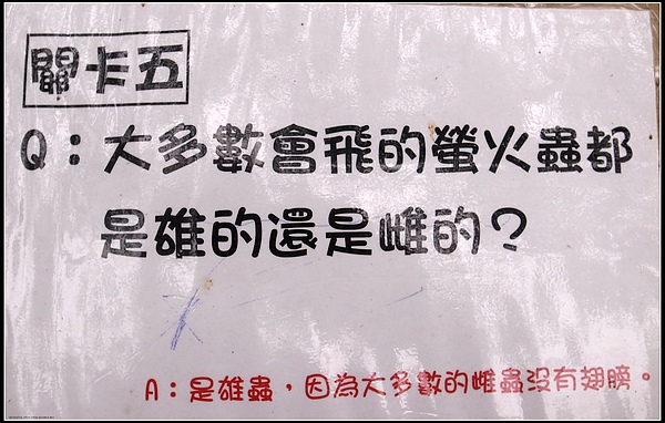 14.問題與解答.jpg