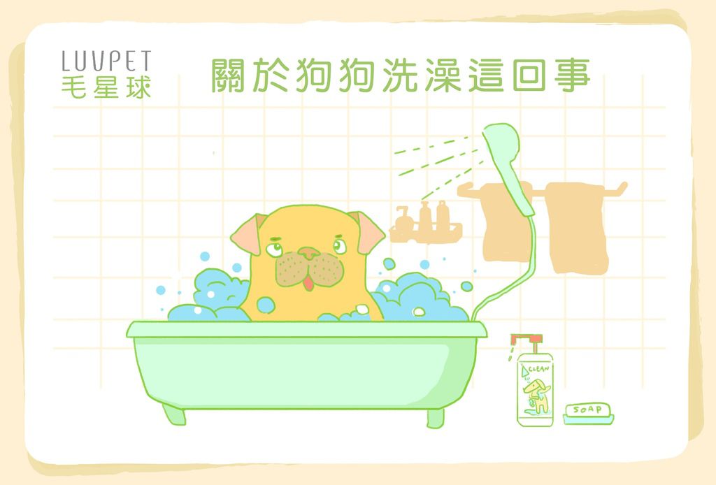關於狗狗洗澡這回事-01.jpg