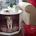 Beautifully-designed-dog-nook-with-style-and-functionality-.jpeg