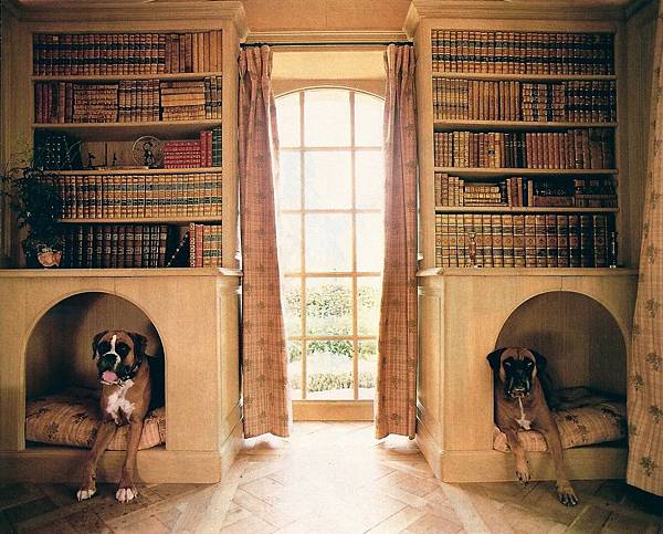 Dog-nooks-in-a-home-library.jpeg