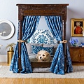 Magnificent-and-grandiose-doggy-four-poster-bed-.jpeg