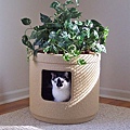 custom-litterbox-available-on-etsy.jpg