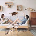 Wall-KATRIS-for-Cats-900x900.jpg