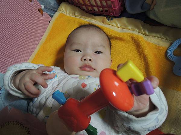 DSCN4564.JPG DSCN4564.JPG