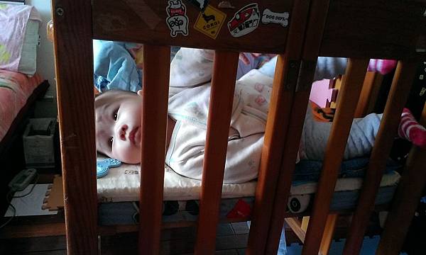 IMAG6109.jpg IMAG6109.jpg