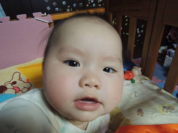 DSCN5120.JPG DSCN5120.JPG
