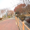 往駱山公園的路上