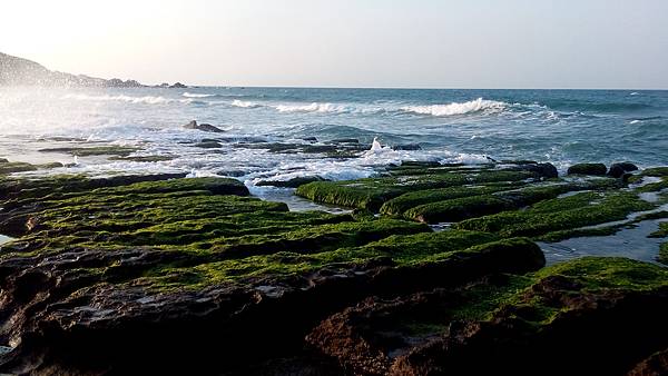 DSC_1214 DSC_1214
