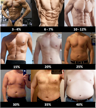 men BodyFat levels.png