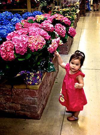IMG_2515 IMG_2515