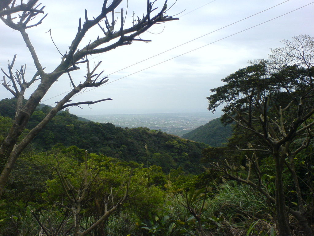 20120325桶后林道