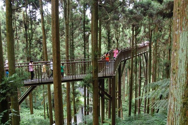 天空步道