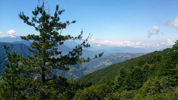 96合歡山之旅_9940 96合歡山之旅_9940