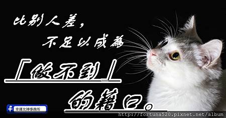 cat-1558956_960_720_副本.jpg