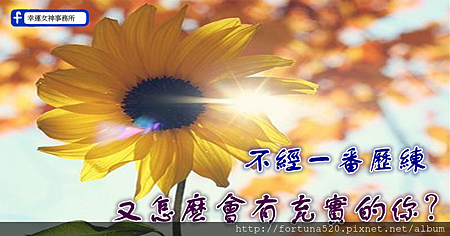 6-1602291A630631_副本.png 6-1602291A630631_副本.png