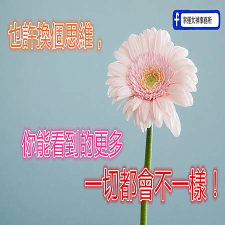 photo-1471899236350-e3016bf1e69e_副.jpg photo-1471899236350-e3016bf1e69e_副.jpg