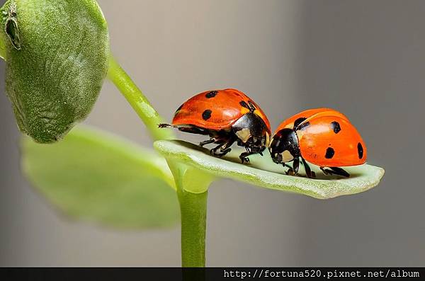 絲雨老師530.jpg 絲雨老師530.jpg