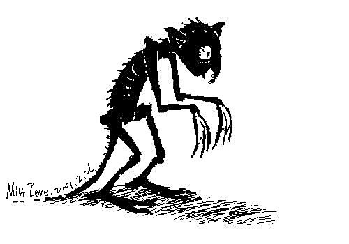 鍾絲雨 元辰宮 前世今生 塔羅 鍾絲雨 元辰宮 前世今生 塔羅