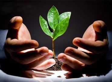 元辰宮 轉好運 絲雨老師 元辰宮 轉好運 絲雨老師