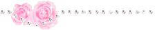 玫瑰分隔.gif 玫瑰分隔.gif