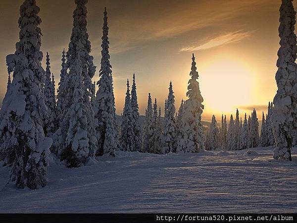 絲雨老師462.jpg 絲雨老師462.jpg