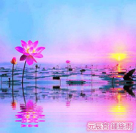 前世今生 鍾絲雨 前世今生 鍾絲雨