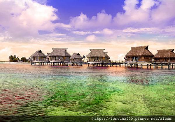 鍾絲雨 元辰宮 前世今生 塔羅 鍾絲雨 元辰宮 前世今生 塔羅