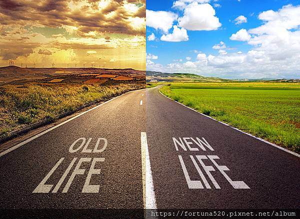 鍾絲雨 元辰宮 前世今生 塔羅 鍾絲雨 元辰宮 前世今生 塔羅