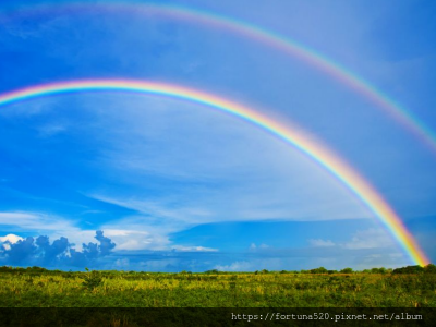 鍾絲雨 元辰宮 前世今生 塔羅