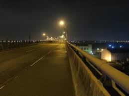 鍾絲雨 元辰宮 前世今生 蛇與鋸子 鍾絲雨 元辰宮 前世今生 蛇與鋸子