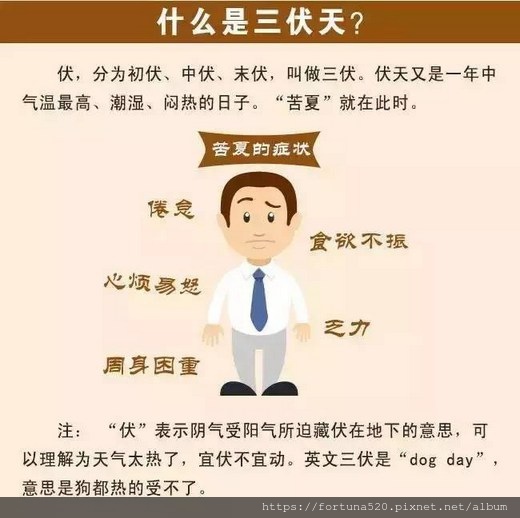 三伏天1 三伏天1