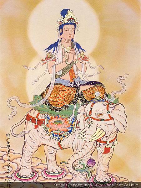 普賢菩薩 普賢菩薩