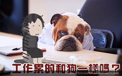 觀元辰宮_換工作.jpg.png 觀元辰宮_換工作.jpg.png