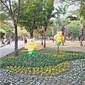 水萍塭公園台南市百花季15.jpg