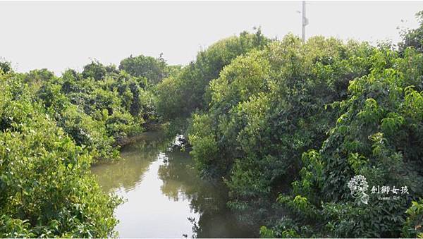 安順鹽場四草生態保護區 2.jpg 安順鹽場四草生態保護區 2.jpg