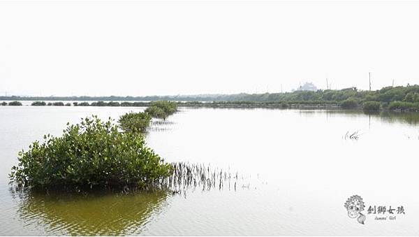 安順鹽場四草生態保護區 5.jpg 安順鹽場四草生態保護區 5.jpg