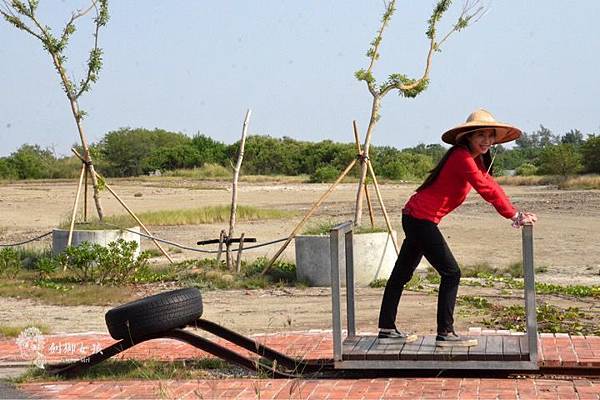 安順鹽場四草生態保護區 17.jpg 安順鹽場四草生態保護區 17.jpg