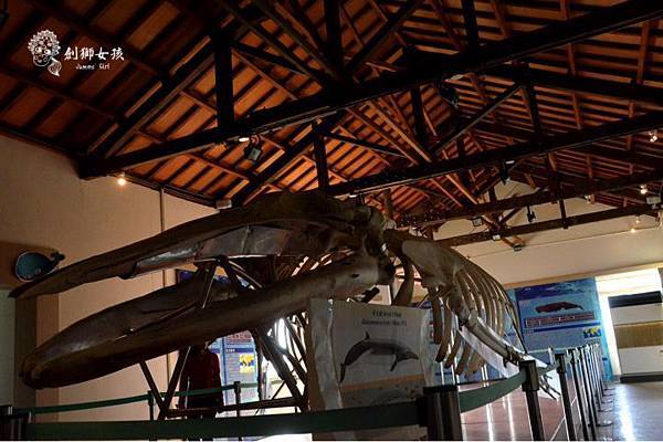 安順鹽場四草生態保護區 24.jpg 安順鹽場四草生態保護區 24.jpg