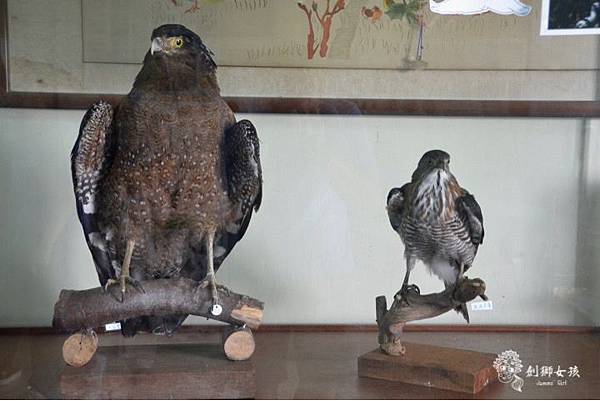 安順鹽場四草生態保護區 28.jpg