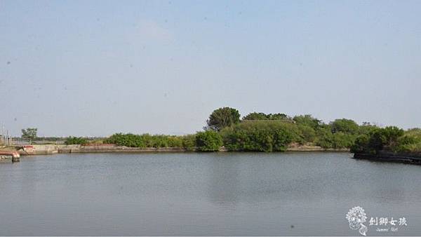 安順鹽場四草生態保護區 33.jpg 安順鹽場四草生態保護區 33.jpg