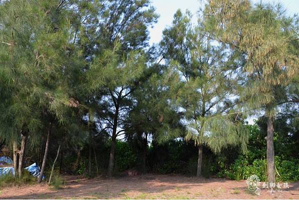 安順鹽場四草生態保護區 38.jpg 安順鹽場四草生態保護區 38.jpg