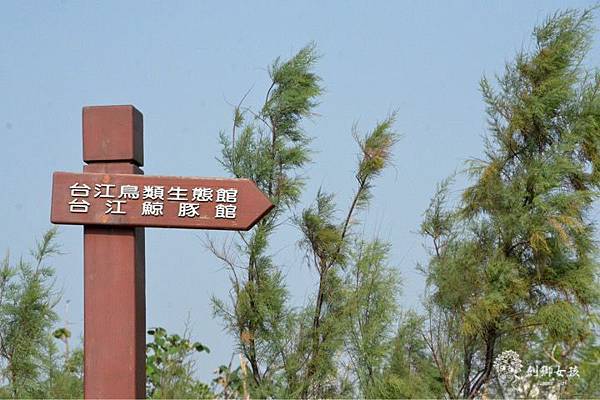 安順鹽場四草生態保護區 40.jpg 安順鹽場四草生態保護區 40.jpg