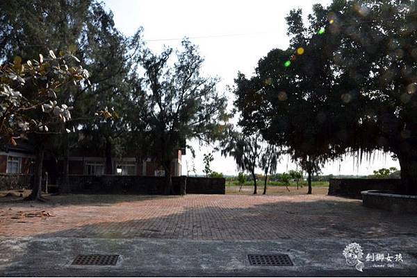 安順鹽場四草生態保護區 39.jpg