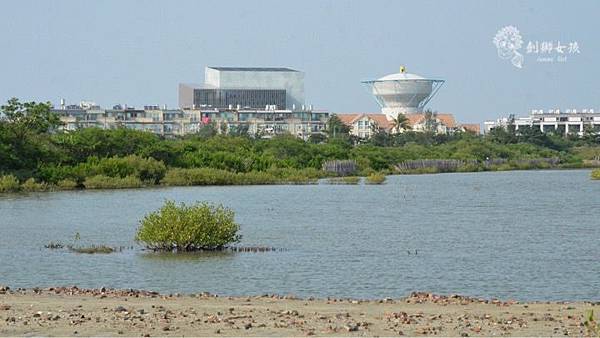 安順鹽場四草生態保護區 41.jpg 安順鹽場四草生態保護區 41.jpg