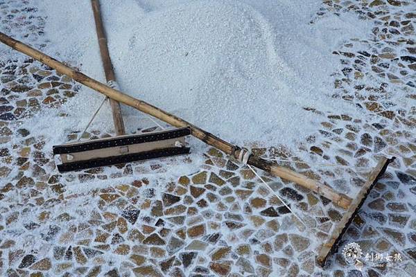 安順鹽場四草生態保護區 44.jpg 安順鹽場四草生態保護區 44.jpg