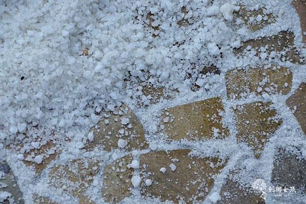 安順鹽場四草生態保護區 45.jpg 安順鹽場四草生態保護區 45.jpg