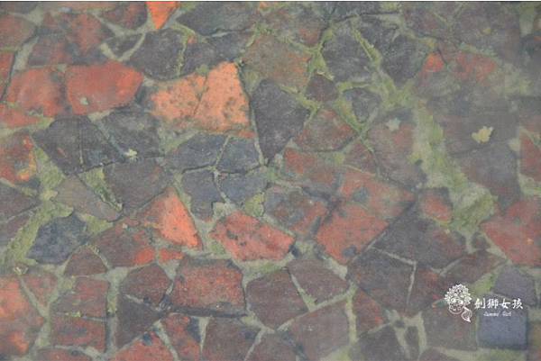 安順鹽場四草生態保護區 48.jpg