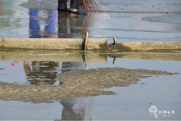 安順鹽場四草生態保護區 54.jpg 安順鹽場四草生態保護區 54.jpg